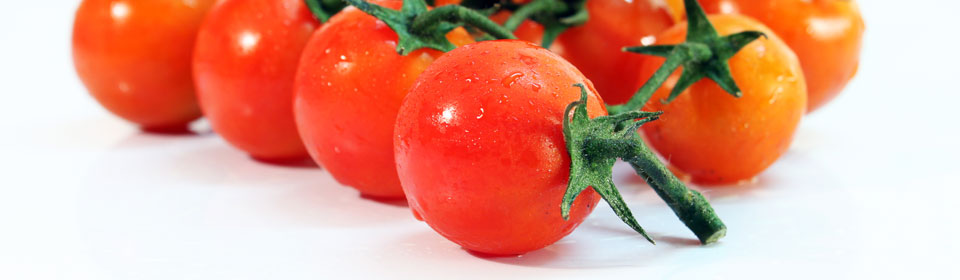 平台在线ddos压力测试