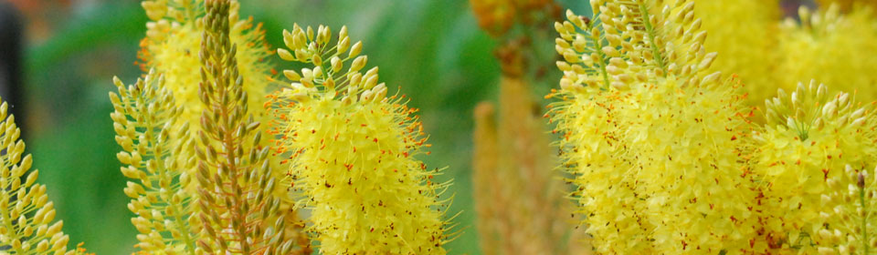 ddos攻击防御手段